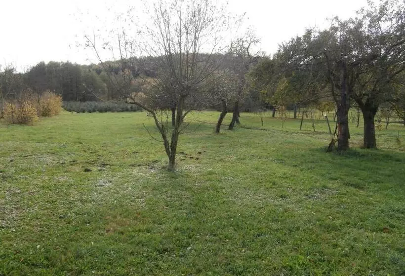 Majatalo Nádkunyhó Vendégház