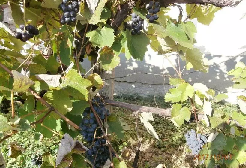 Majatalo Nádkunyhó Vendégház