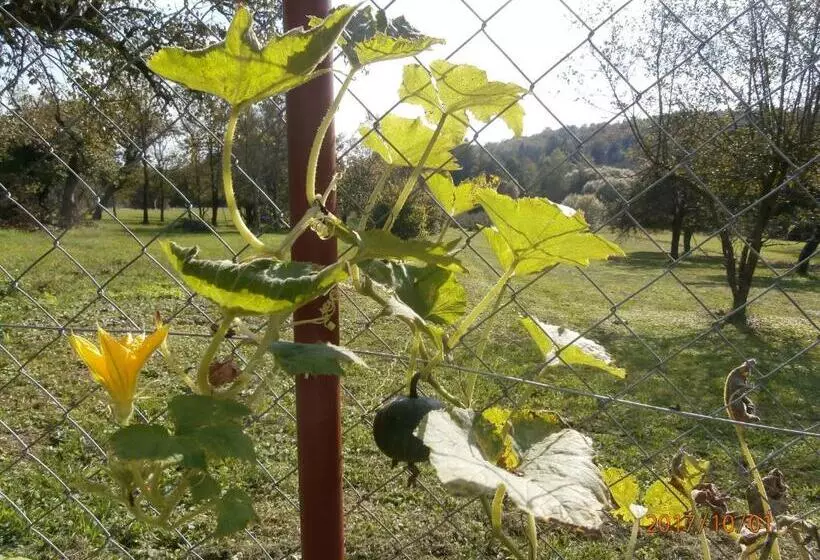 Majatalo Nádkunyhó Vendégház