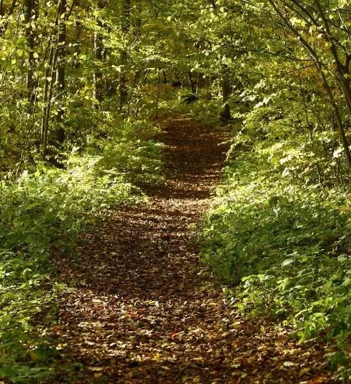 Majatalo Ombergs Turisthotell