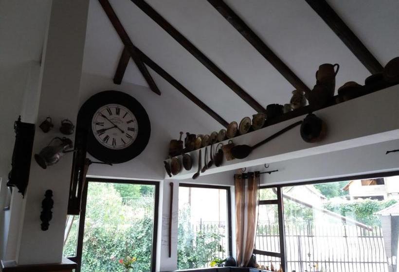 Pensiunea Total Din Ceahlău