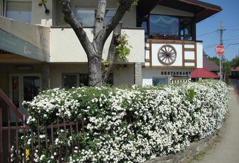 Pensiunea Total Din Ceahlău