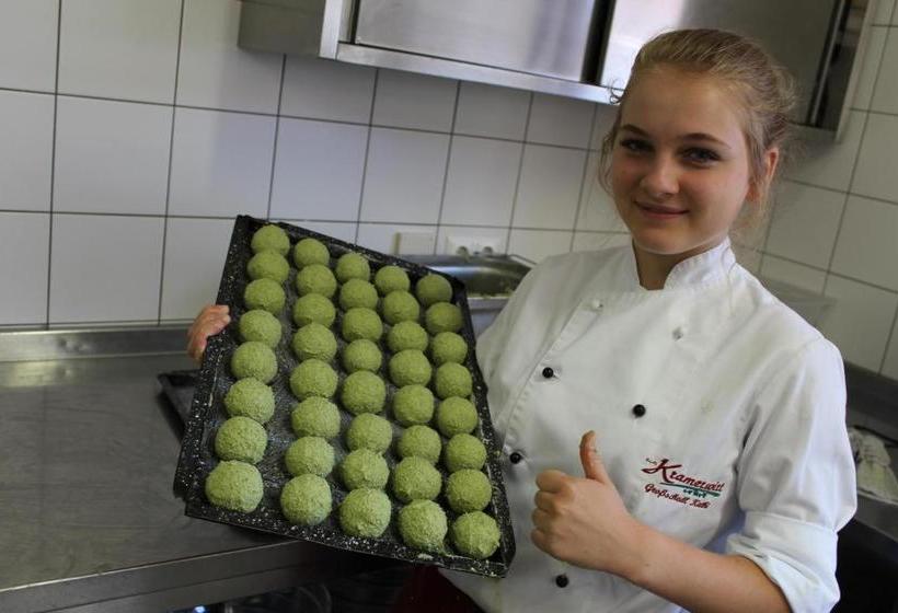 فندق صغير Gasthof Großschedl Zum Kramerwirt