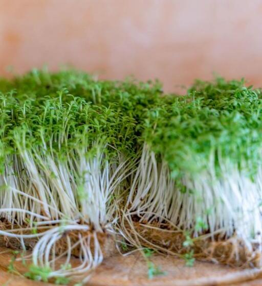 فندق صغير Gasthof Großschedl Zum Kramerwirt