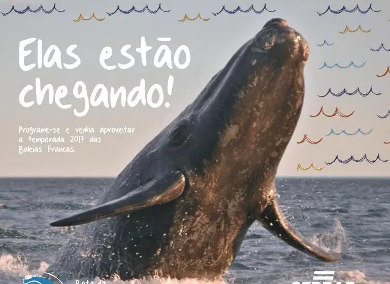 ユースホステル Pousada Do Véio