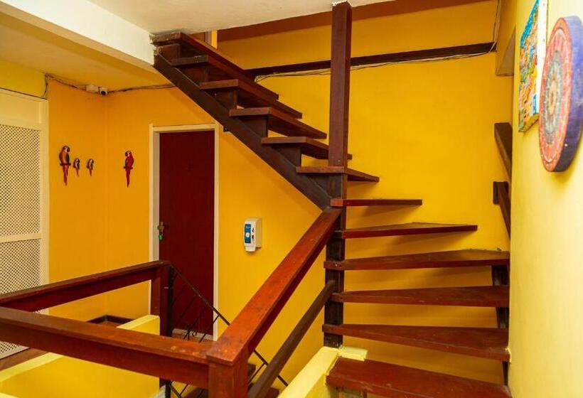 هاستل Pousada Michele