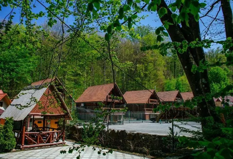 Herberge Toursit Complex Polyana Kvasova