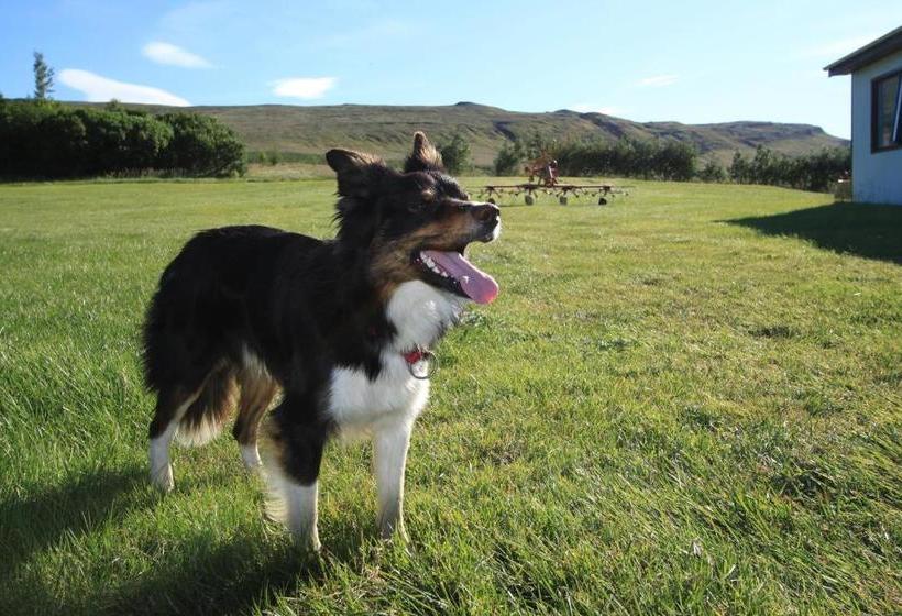 هتل Guesthouse Steindórsstadir, West Iceland