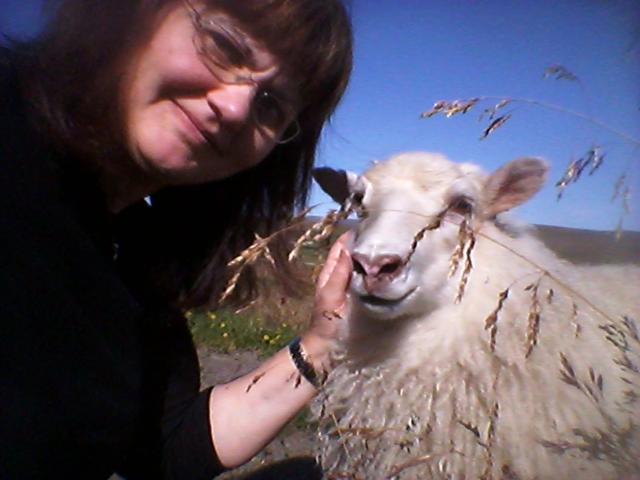 هتل Guesthouse Steindórsstadir, West Iceland