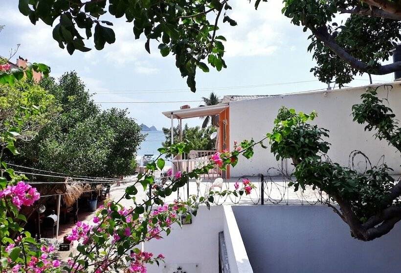 Ocean Lovers Hostel & Apartments