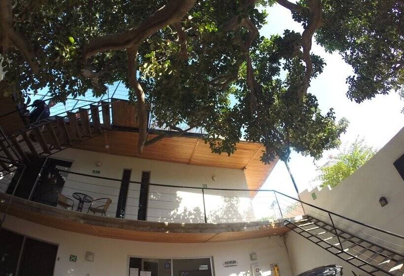 Ocean Lovers Hostel & Apartments