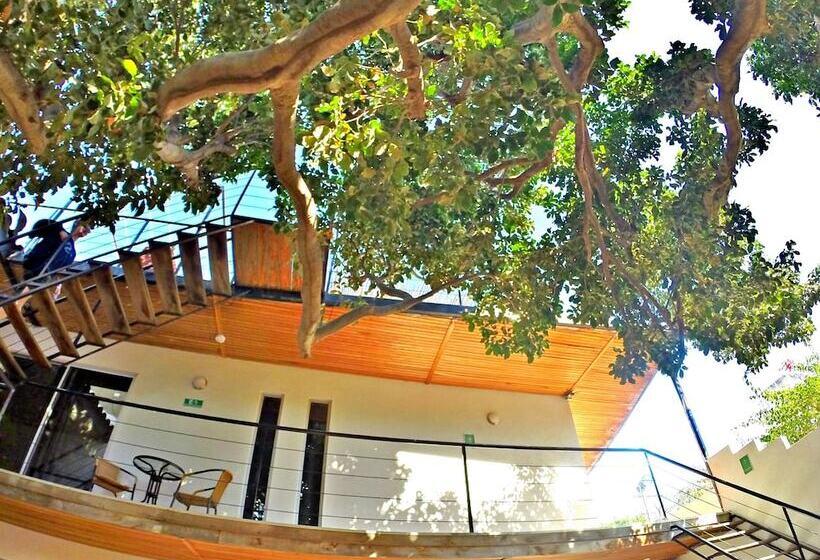 Ocean Lovers Hostel & Apartments