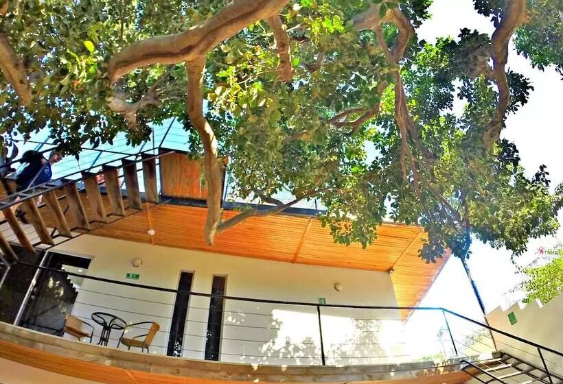 Ocean Lovers Hostel & Apartments