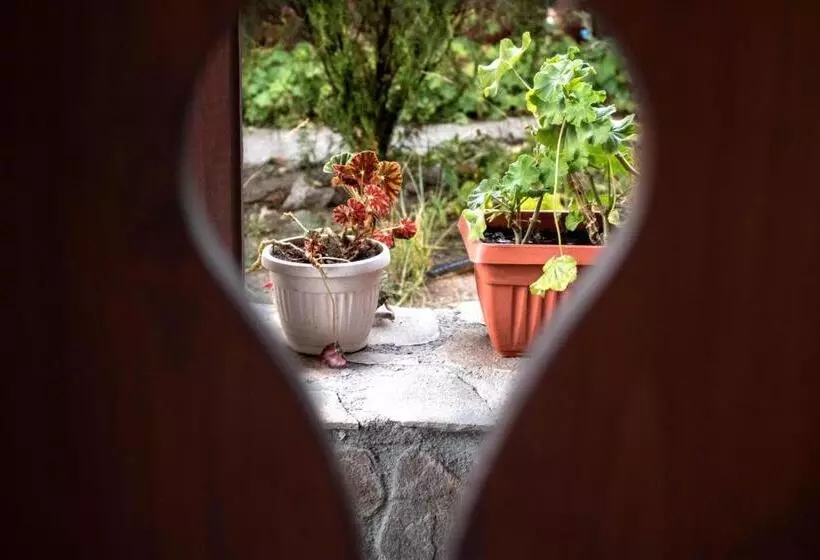 پانسیون Guest House Ilinden