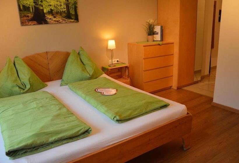 بنسيون Haus Frey