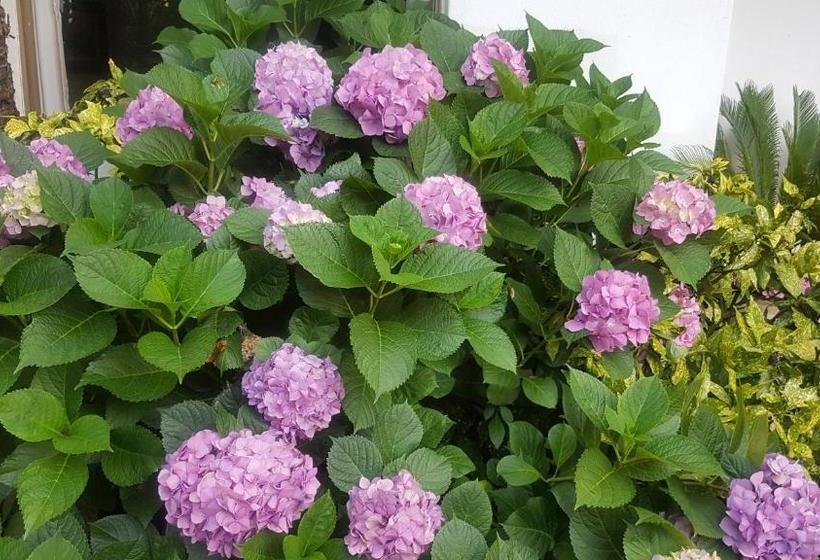 פנסיון Kleineweide Boutique Estate