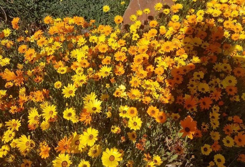 פנסיון Kleineweide Boutique Estate