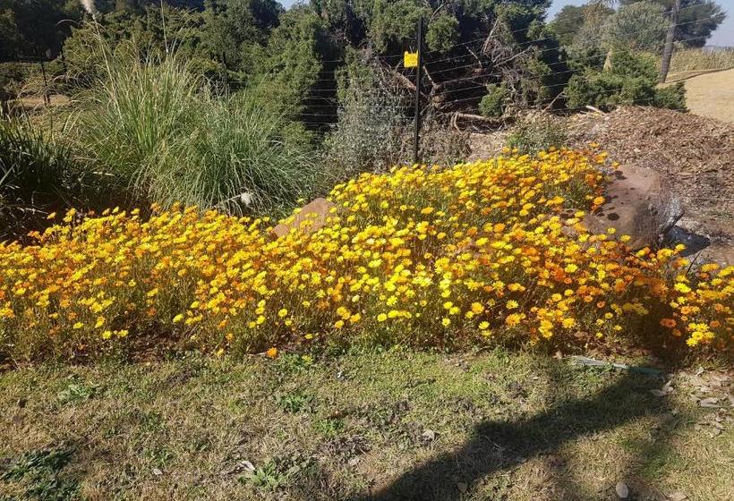 פנסיון Kleineweide Boutique Estate