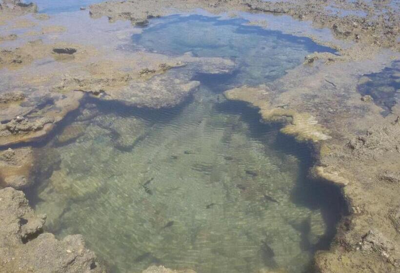 ペンション Pousada Recanto Da Enseada