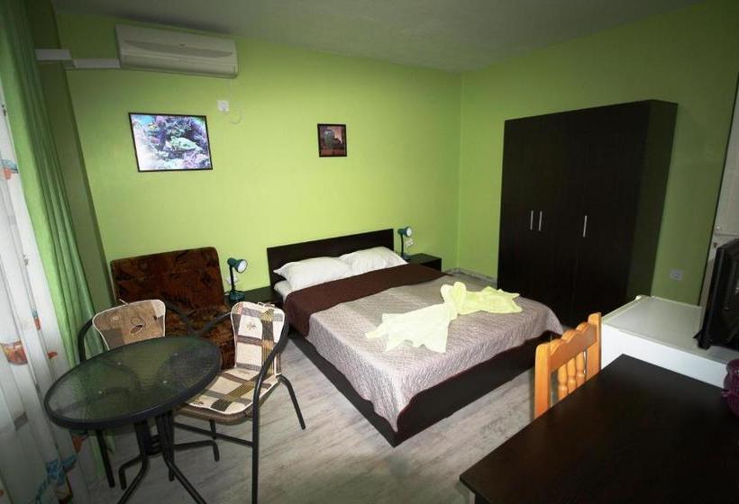 ペンション Zoya Guest House