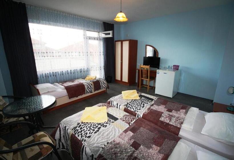 ペンション Zoya Guest House