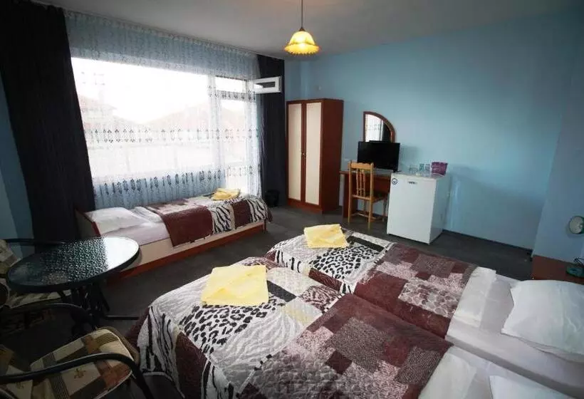 ペンション Zoya Guest House
