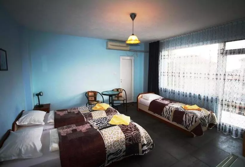 ペンション Zoya Guest House