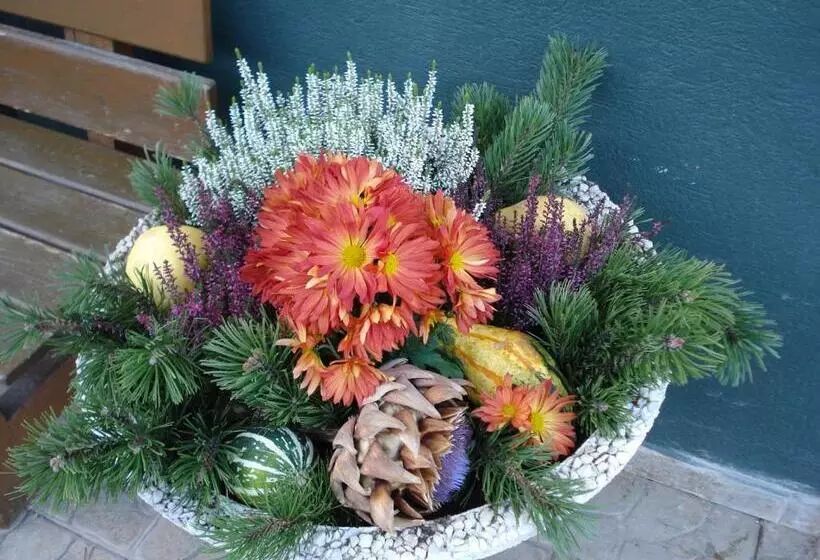 Pension Greimelbacherhof