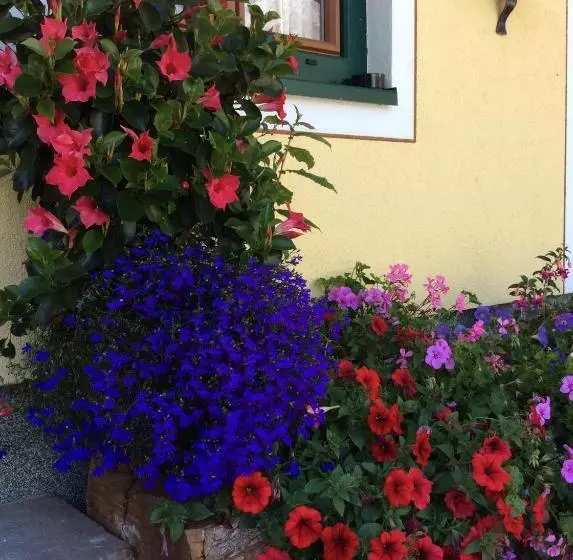 Pension Greimelbacherhof