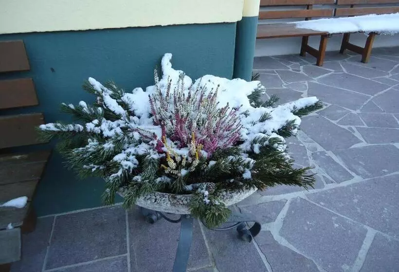 Pension Greimelbacherhof