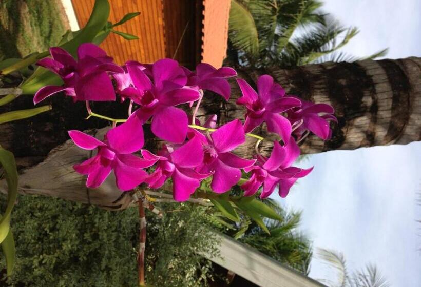 旅馆 Monte Carlo Pousada