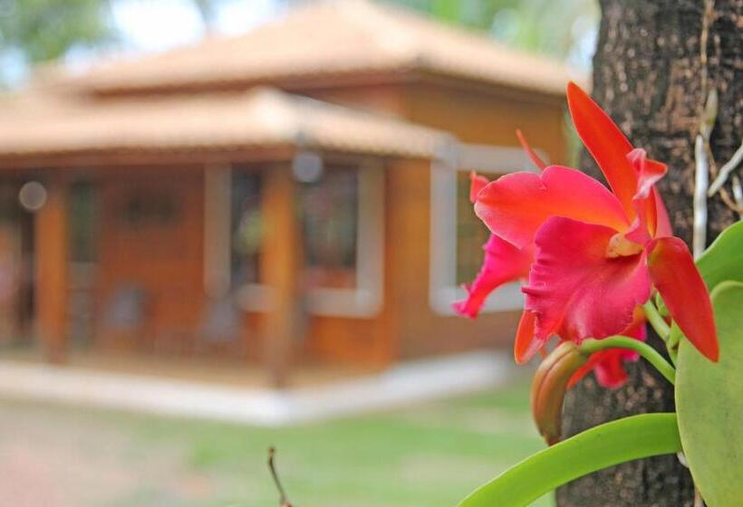 旅馆 Monte Carlo Pousada