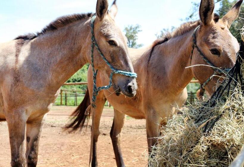 旅馆 Monte Carlo Pousada