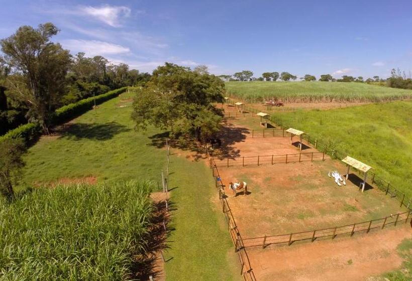 旅馆 Monte Carlo Pousada