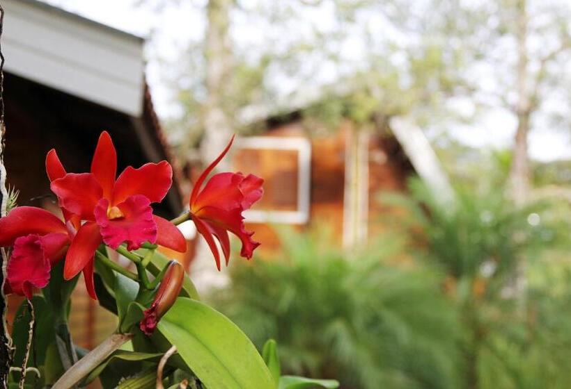 旅馆 Monte Carlo Pousada