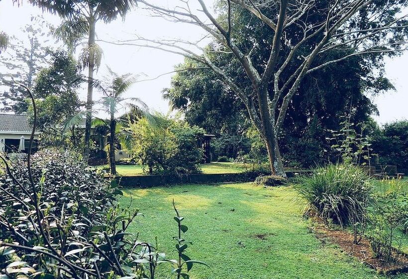 بنسيون Brackens Guest House