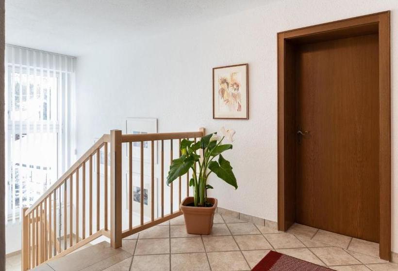 Пансион Gästehaus Frischhut