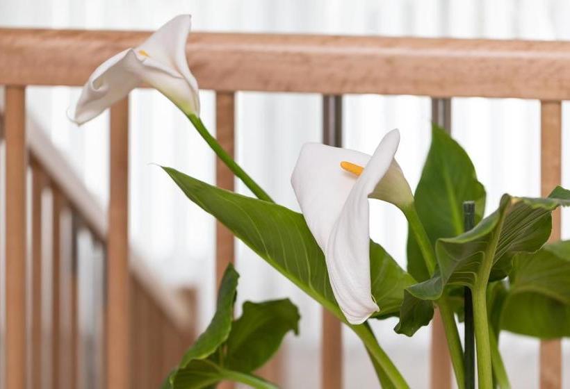 Пансион Gästehaus Frischhut