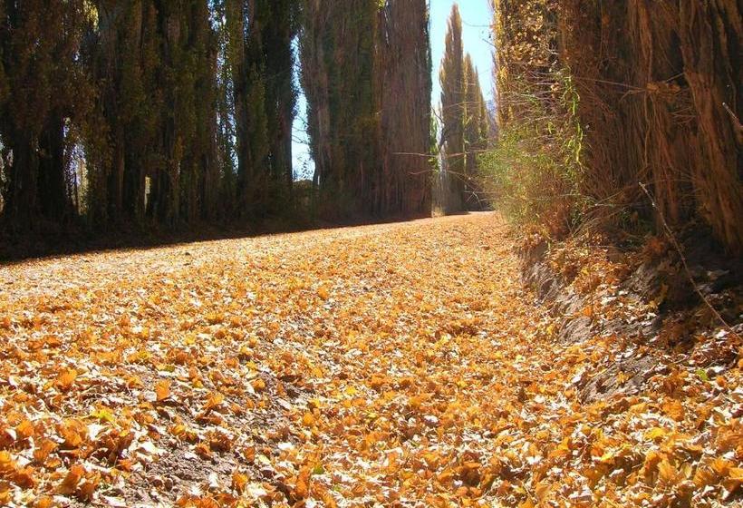 بنسيون Hosteria Uspallata