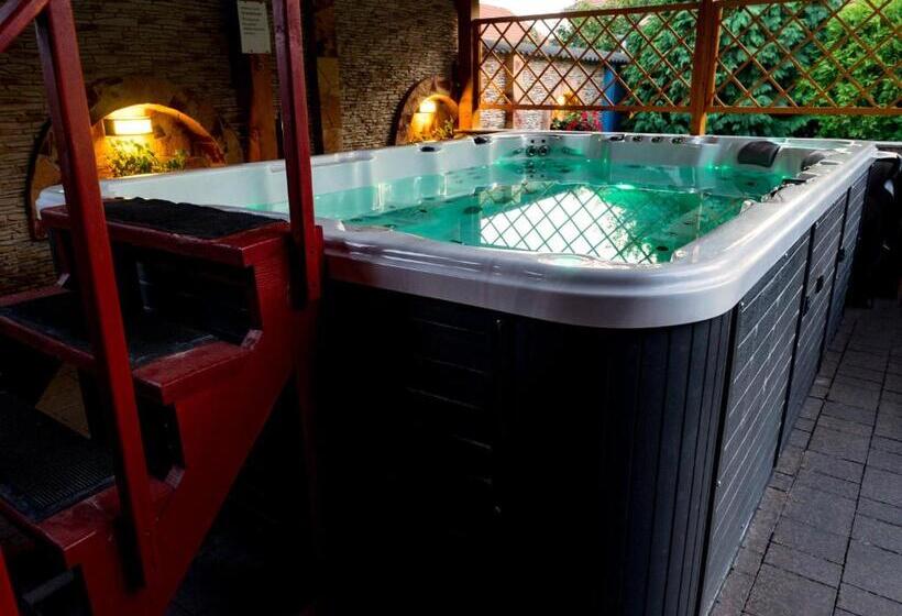 بنسيون Kék Lagúna Wellness Apartmanok