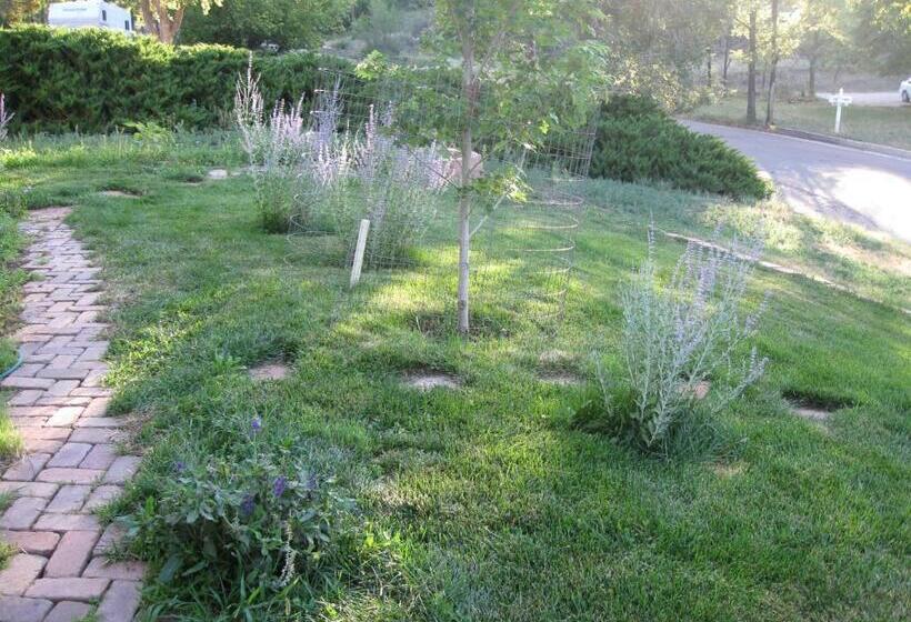 پانسیون Mystic Portal 420 Guesthouse