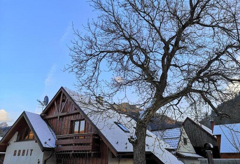 بنسيون Penzión Admit