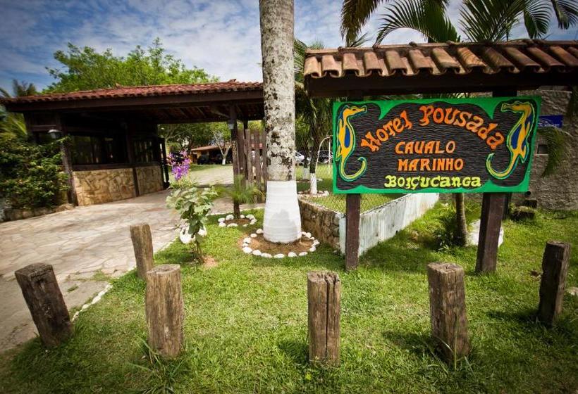 پانسیون Pousada Cavalo Marinho