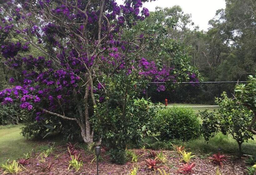 פנסיון Smoky Cape Retreat