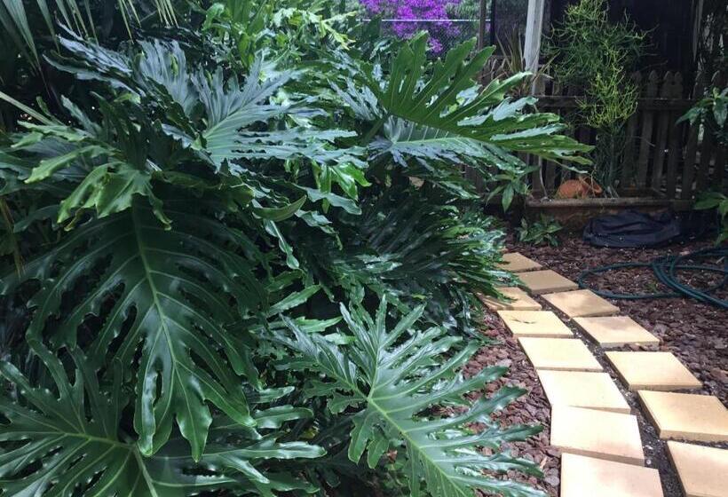 פנסיון Smoky Cape Retreat