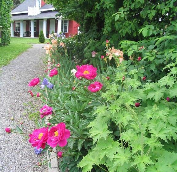 Общежитие Aux Petits Oiseaux Citqo96751