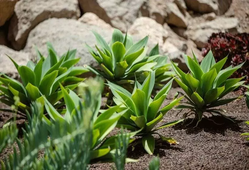 Arguineguin Park by Servatur