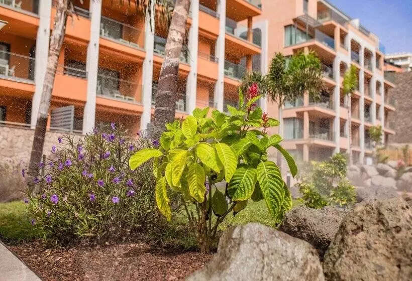 Arguineguin Park by Servatur