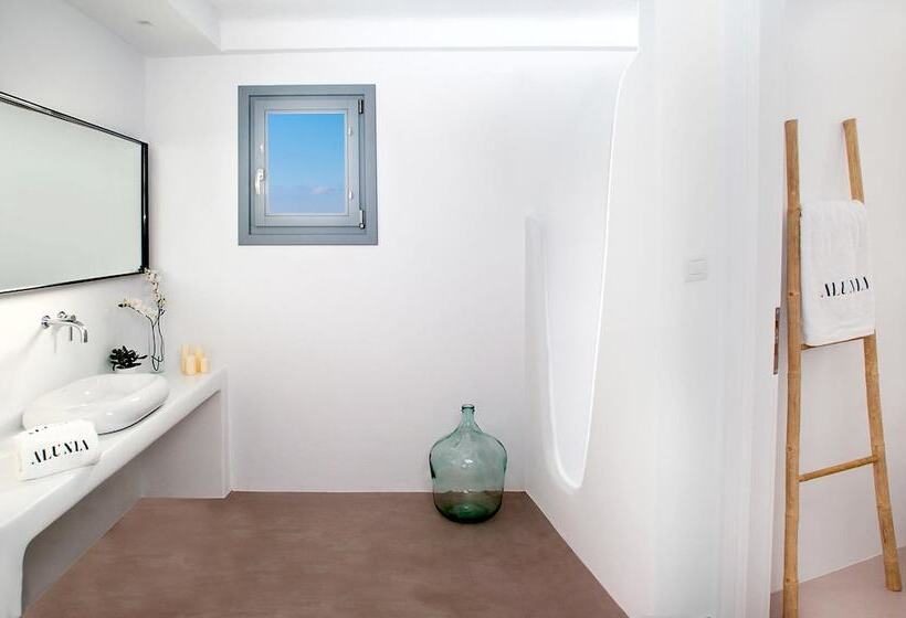 Bed and Breakfast Alunia Incognito Suites  Adults Only