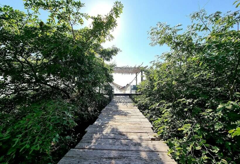 בית מלון כפרי Azulik Lodge